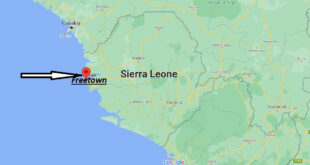 Dove si trova Freetown