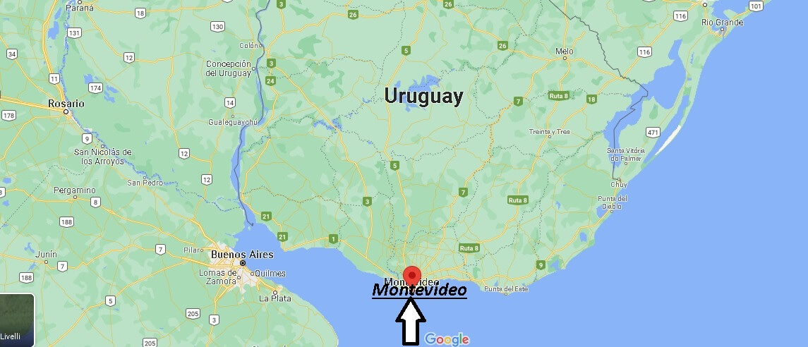 Dove si trova Montevideo