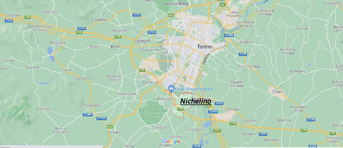 In quale regione si trova Nichelino