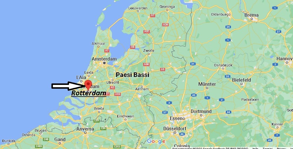 Dove si trova Rotterdam Paesi Bassi