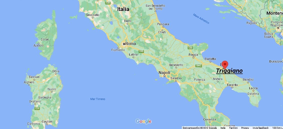 Dove si trova Triggiano Italia