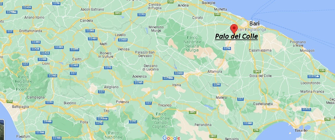 In che regione si trova Palo del Colle