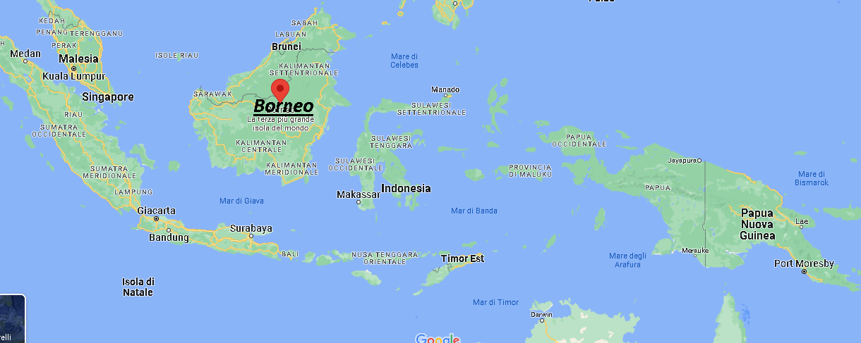 Dove si trova Borneo