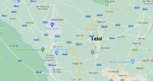 Leini