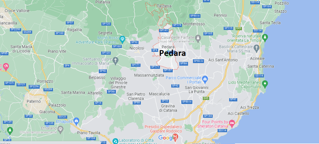 Pedara