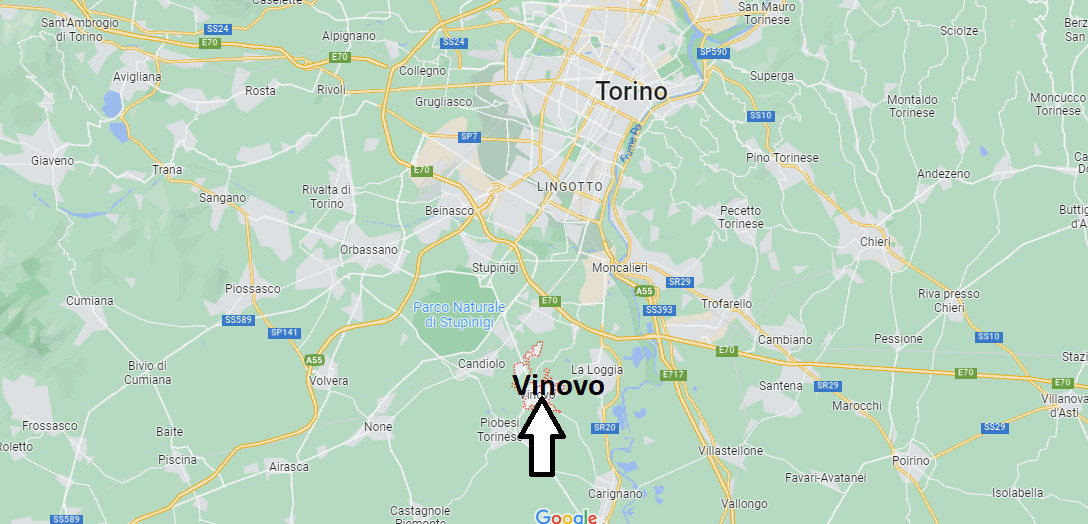 In che provincia si trova Vinovo