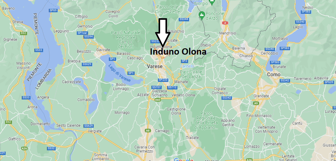 Induno Olona