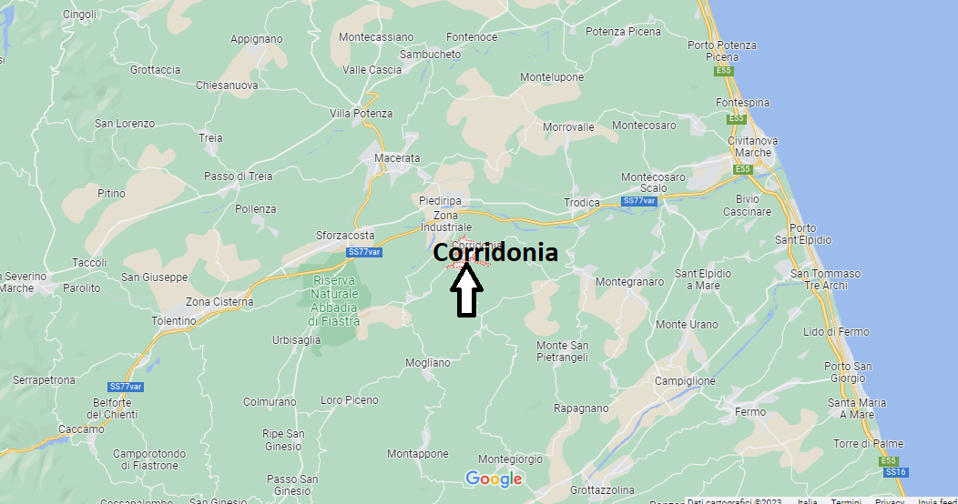 Corridonia