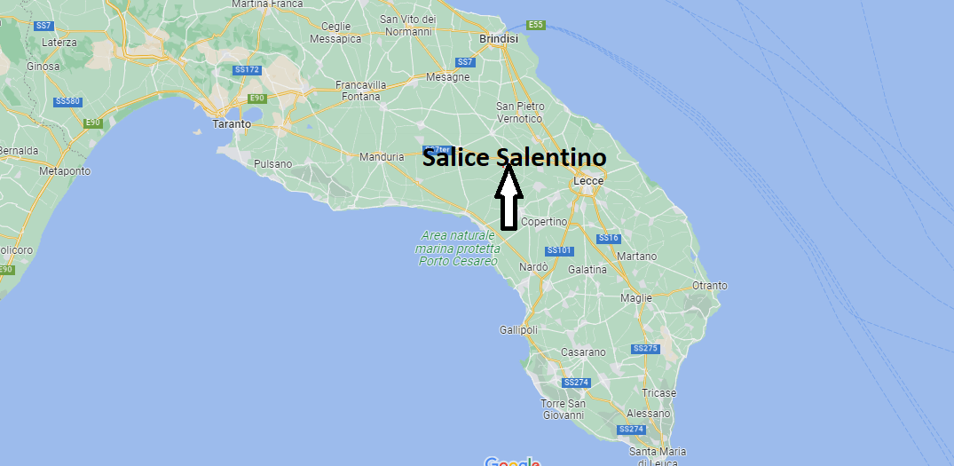 Dove si trova Salice Salentino