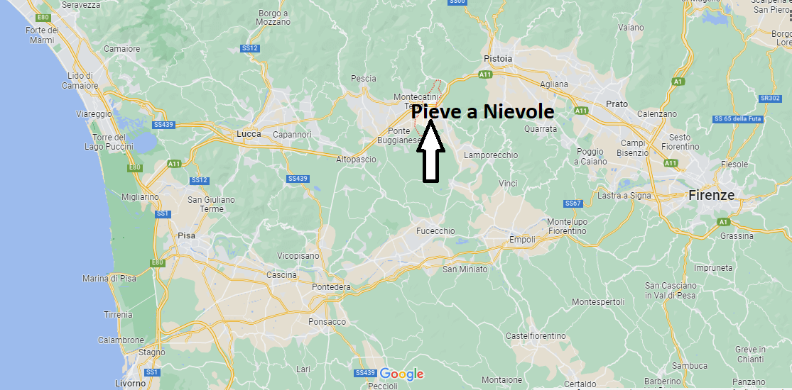 In che provincia si trova Pieve a Nievole