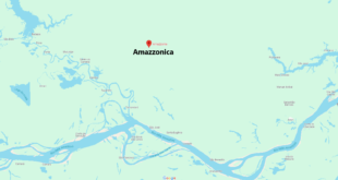 Amazzonica